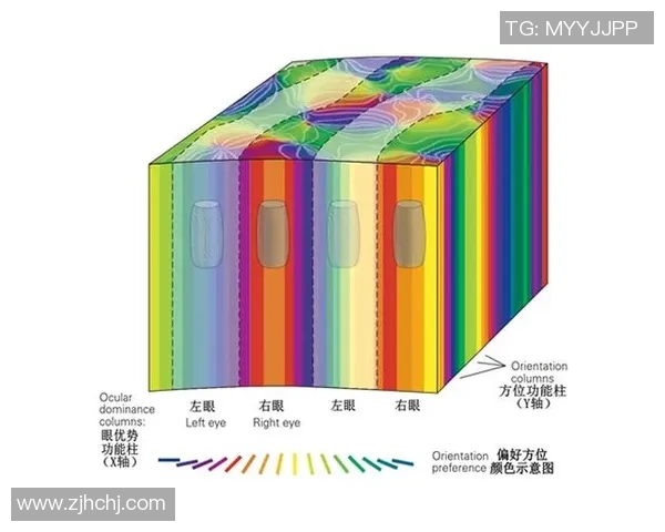 巅峰国际数字视网膜技术引领未来视觉革命与健康新纪元