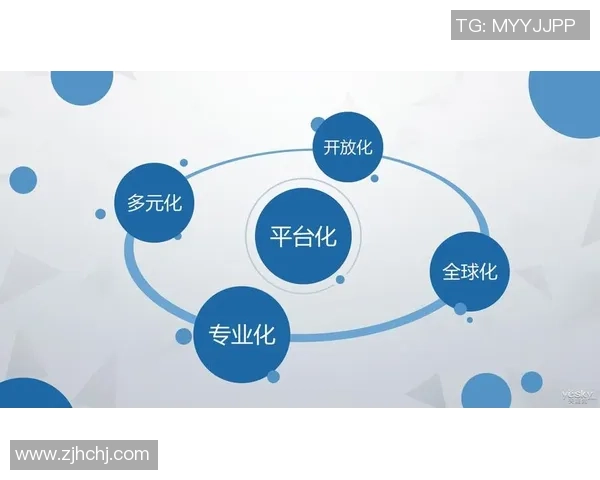 欧陆平台流量管理平台助力企业高效优化资源配置与流量监控